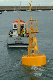 pantaenius buoy